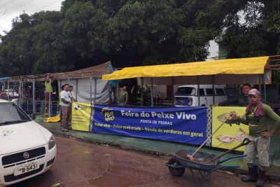 notícia: Em mais de 50 municípios, feiras de pescado na Semana Santa destacam ação da Emater 
