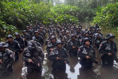 notícia: PM reforça a capacitação de efetivos para atuar no combate ao desmatamento no Pará