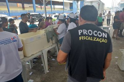 notícia: Procon Pará atesta qualidade de produtos oferecidos na Feira do Pescado