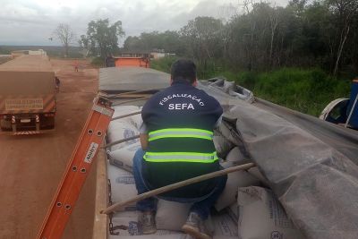 notícia: Sefa apreende 50 mil quilos de fécula de mandioca em Novo Progresso  