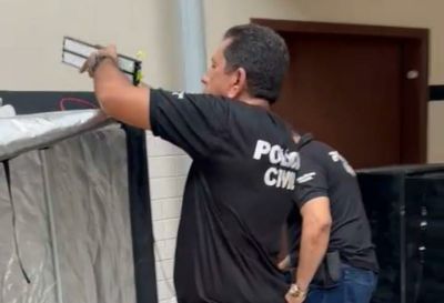 notícia: Polícia Civil prende casal por produção e tráfico de drogas, em Belém