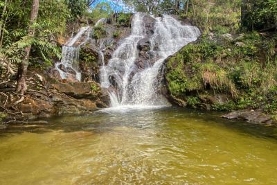 notícia: Ideflor-Bio completa 16 anos de proteção à biodiversidade e estímulo ao crescimento sustentável do Pará