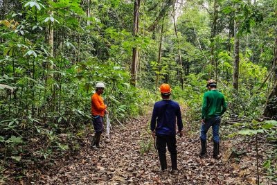 notícia: Ideflor-Bio destaca o papel da botânica na preservação da biodiversidade paraense