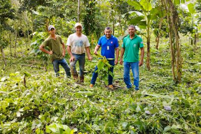 notícia: Emater ajuda na recuperação de 149 hectares de áreas degradadas no sudeste paraense