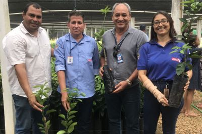 notícia: Adepará orienta fruticultores e entrega mudas de citros certificadas em São Félix do Xingu