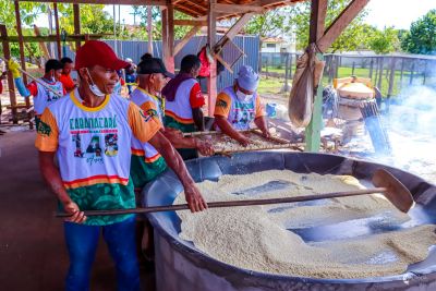 notícia: Emater leva atendimento a 600 famílias de produtores de mandioca no Acará 