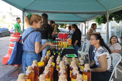 notícia: Artesanato sustentável e agricultura familiar geram renda para produtores em feira da Semas