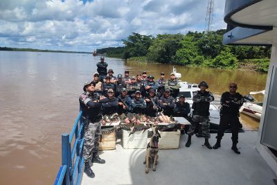 notícia: Agentes da Base Integrada 'Antônio Lemos' apreendem carne de jacaré e porco-espinho