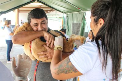 notícia: Polícia Civil encerra 'Abril Laranja' com orientação a tutores e serviços aos animais