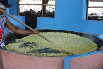 notícia: Adepará visita comunidades produtoras de farinha e entrega certificados artesanais