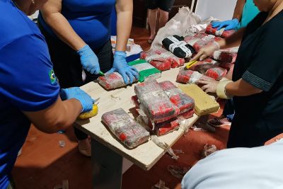 notícia: Polícia Científica do Pará analisa mais de 41 kg de maconha apreendida pela PRF