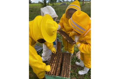 notícia: Adepará realizará cursos e oficinas em evento de apicultura e meliponicultura