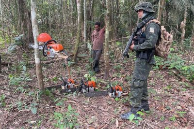 notícia: "Operação Curupira" desarticula ação de desmatamento em Altamira 