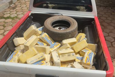 notícia: Fiscais apreendem em Conceição do Araguaia 240 kg de queijo impróprio para consumo 