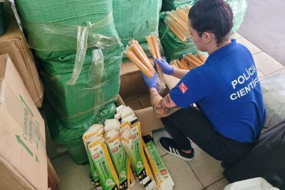 notícia: Polícia Científica pericia 10 mil pacotes de incensos apreendidos em Paragominas