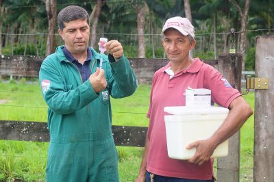 notícia: Adepará realiza vacinação fiscalizada em propriedades do território paraense
