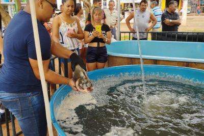 notícia: Semas inscreve para seminário sobre regulamentação da pesca e da aquicultura