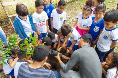 notícia: Em Santarém, ação do Ideflor-Bio melhora arborização em escola pública