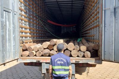 notícia: Sefa apreende 150 toras de madeira sem documentação fiscal em Dom Eliseu