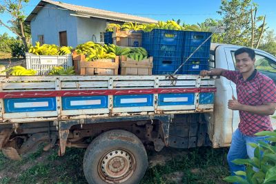 notícia: Pela primeira vez, agricultores de Canaã dos Carajás fornecem merenda para escolas públicas do município