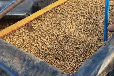 notícia: Secretaria da Fazenda do Pará (Sefa) apreende 100 toneladas de soja no Araguaia