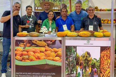 notícia: Chocolat Xingu evidencia a força das políticas públicas de incentivo ao cacau