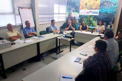 notícia: Grupo Técnico se reúne para discutir ações de melhoria da qualidade do açaí