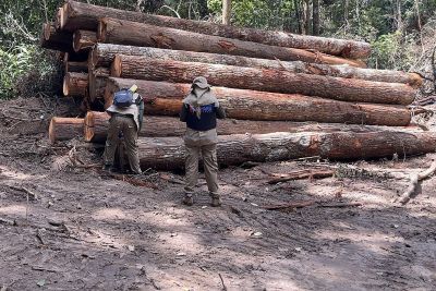 notícia: Operação Curupira: Agentes embargam área, aplicam multas e apreendem equipamentos 