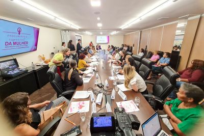 notícia: Secretaria das Mulheres participa de reunião sobre Saúde da Mulher em Grupo de Trabalho na Alepa