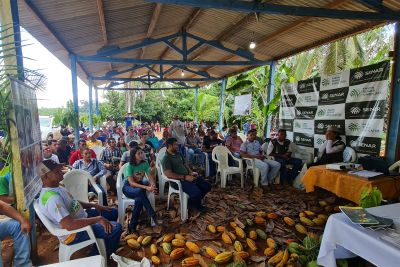notícia: Ações de combate à monilíase são intensificadas pela Adepará nas principais regiões produtoras de cacau