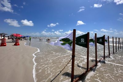 notícia: Ideflor-Bio reforça sinalização em área de desova de tartarugas na Praia do Atalaia