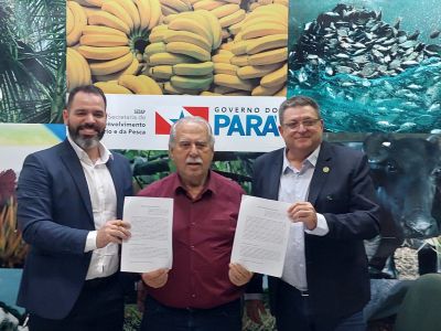 notícia: Representantes do Pará entregarão ao Ministério da Agricultura documento contendo medidas protetivas contra a monilíase