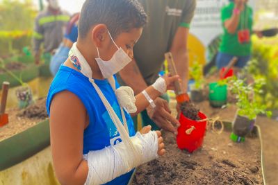notícia: Crianças internadas no Metropolitano participam de plantação na horta hospitalar