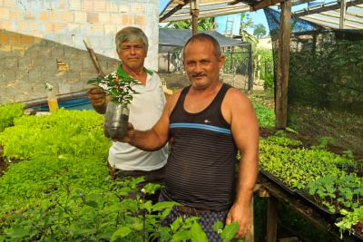 notícia: Parceria entre Emater e Basa prevê R$ 300 milhões para a agricultura familiar