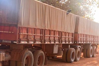 notícia: Secretaria de Estado da Fazenda apreende 50 toneladas de gergelim no Araguaia