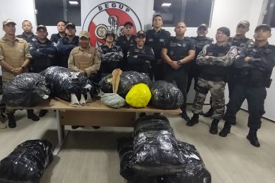 notícia: Agentes de segurança da base Antônio Lemos apreendem R$ 400 mil em pescado irregular, no Marajó