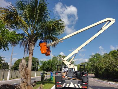 notícia: Mais de 180 árvores recebem serviços de podagem da ação de limpeza 