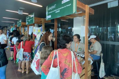 notícia: Hangar oferta vários serviços aos participantes do 'Diálogos Amazônicos'