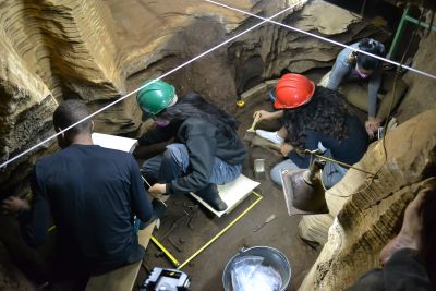 notícia: Pesquisadores paraenses descobrem fóssil de "preguiça gigante" em Aveiro