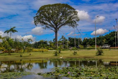 notícia: Parque Estadual do Utinga é opção de lazer durante o feriado de Adesão do Pará