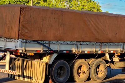 notícia: Secretaria da Fazenda (Sefa) apreende 31 toneladas de gergelim no Araguaia