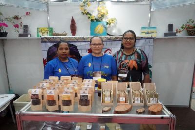 notícia: Mulheres produtoras de cacau ganham destaque no Festival Internacional do Chocolate