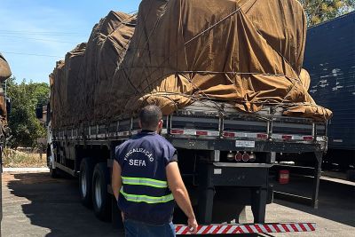 notícia: Fiscais da Sefa apreendem R$ 148 mil em material para construção civil em Conceição do Araguaia
