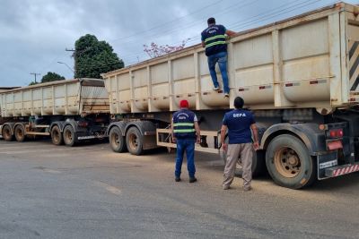 notícia: Sefa apreende mais de 47 toneladas de gergelim na cidade de Dom Eliseu