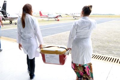notícia: Doação de órgãos salvará vidas em Belém, Redenção e Distrito Federal