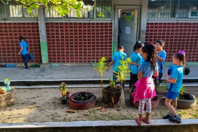 notícia: Escola estimula consciência ambiental entre crianças do 1º ano do ensino fundamental