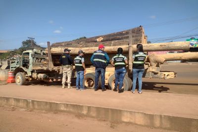 notícia: Sefa apreende carga irregular de madeira em Dom Eliseu