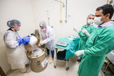 notícia: Sespa esclarece como funciona a fila de transplante no Brasil