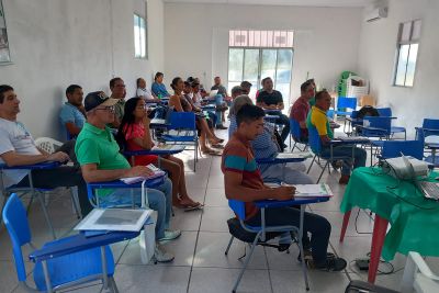 notícia: Salvaterra recebe até sexta-feira curso sobre boas práticas no cultivo do abacaxizeiro