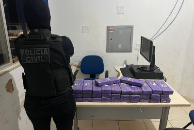 notícia: Ação conjunta da PC e PM de Pacajá apreende mais de 30 quilos de maconha 